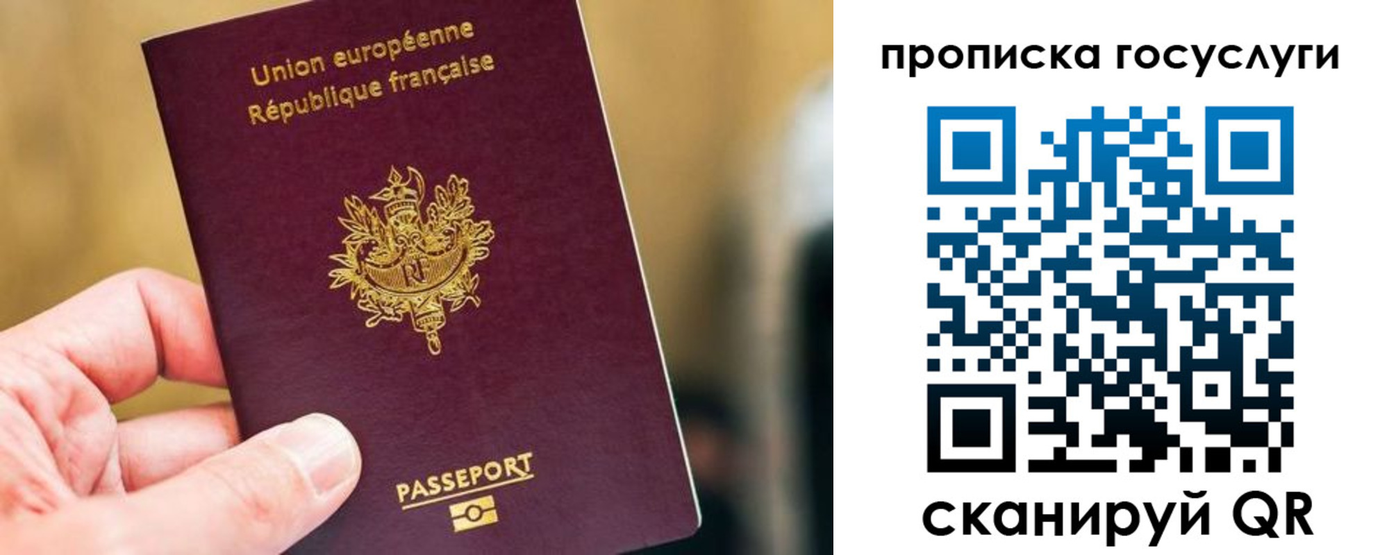 временная регистрация поиск в Краснодарском крае